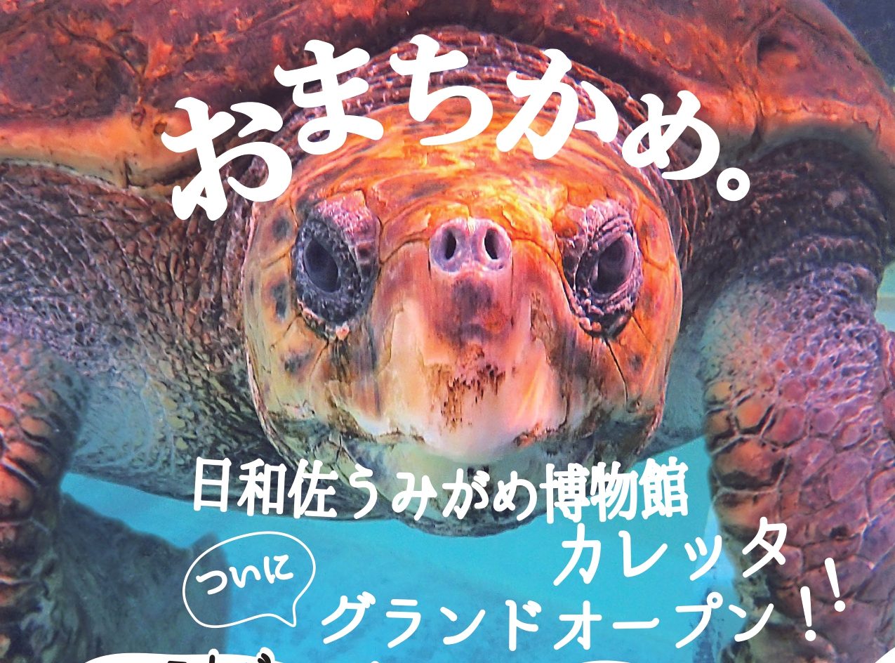 7月19日グランドオープン決定！ | 日和佐うみがめ博物館 カレッタ